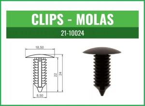 21-10024